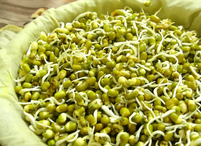 Green Moong Benefits