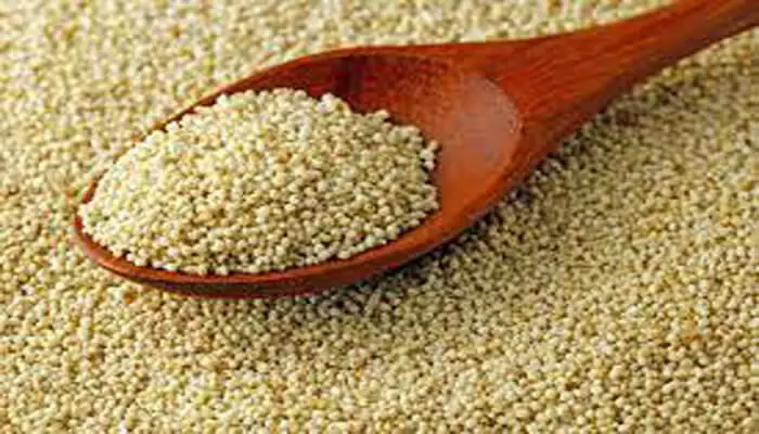 Poppy Seed Benefits