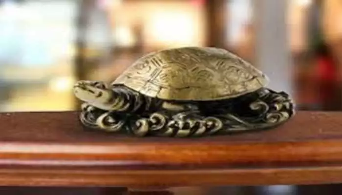 Metal Turtle